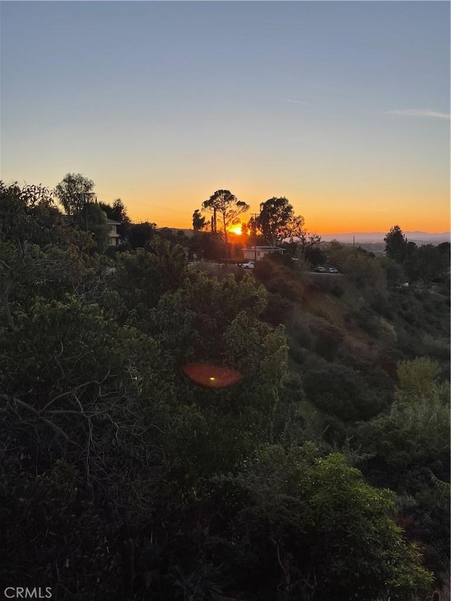 view of nature at dusk