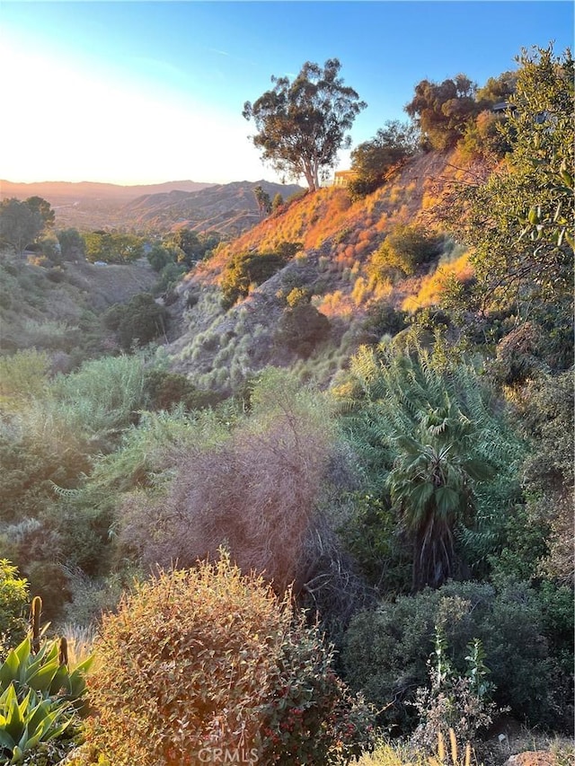 view of local wilderness featuring a mountain view