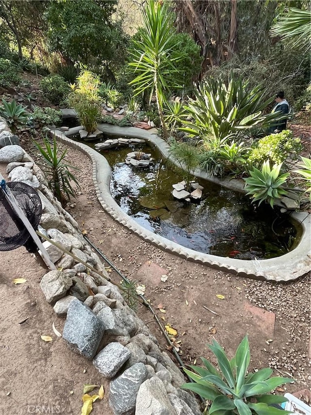 view of yard featuring a small pond