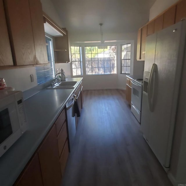 kitchen with dark hardwood / wood-style flooring, sink, and white appliances