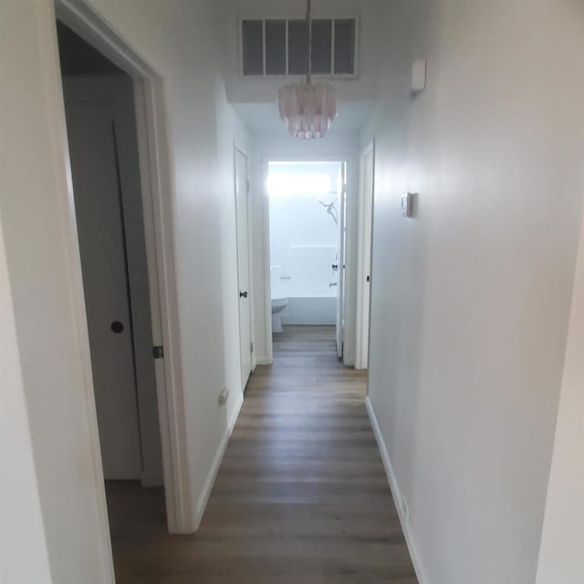 hallway with dark wood-type flooring