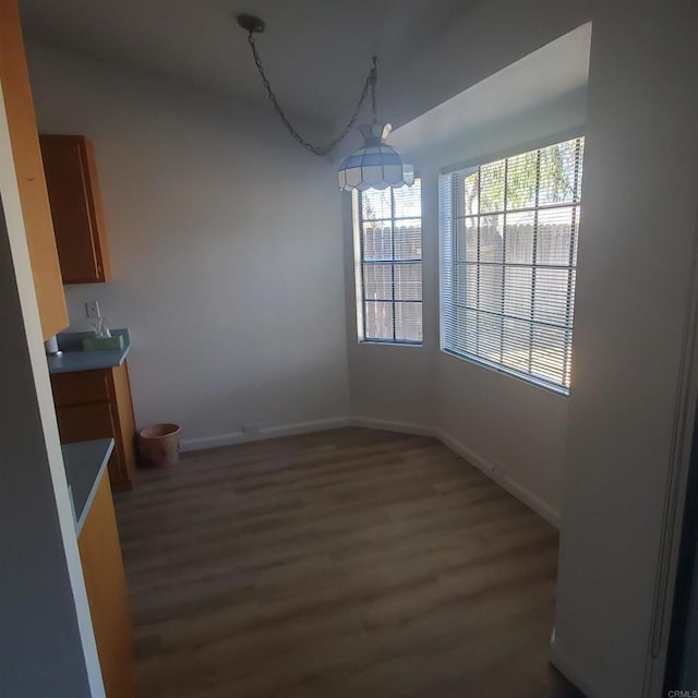 unfurnished dining area featuring dark hardwood / wood-style floors