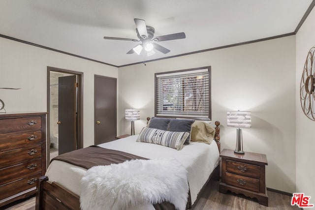 bedroom featuring dark wood-type flooring, ceiling fan, connected bathroom, and crown molding