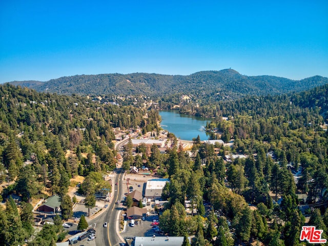 drone / aerial view with a water and mountain view