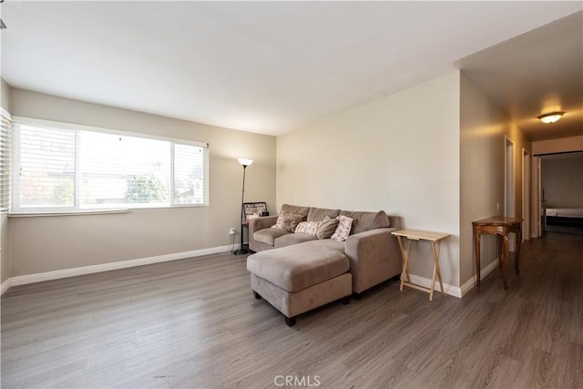 living room with dark hardwood / wood-style flooring