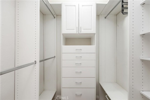 view of spacious closet