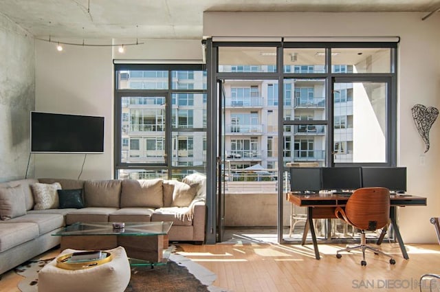 living room with a healthy amount of sunlight and hardwood / wood-style flooring