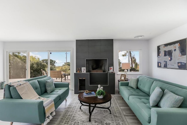 living room featuring light hardwood / wood-style flooring