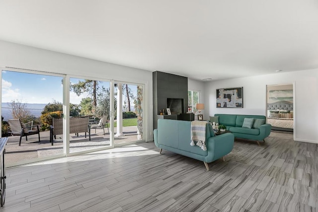 living room with light wood-type flooring