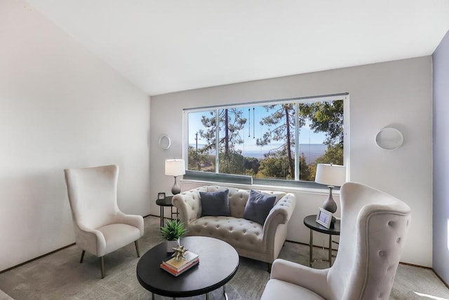 living area with a wealth of natural light and lofted ceiling