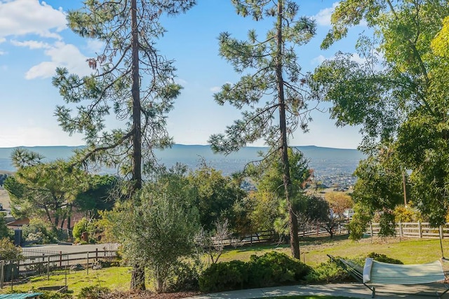 water view featuring a mountain view