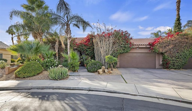 view of property hidden behind natural elements with a garage