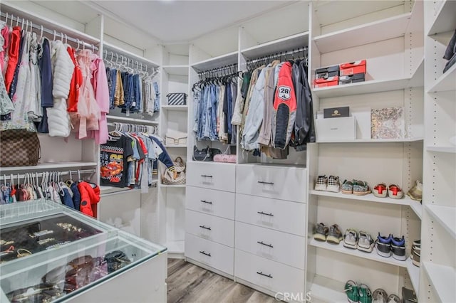 spacious closet featuring light hardwood / wood-style flooring