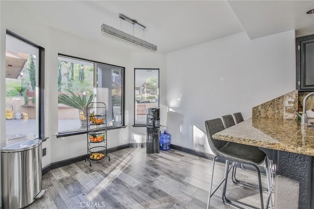 dining space featuring sink and wood-type flooring