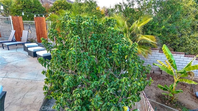 view of yard with a patio