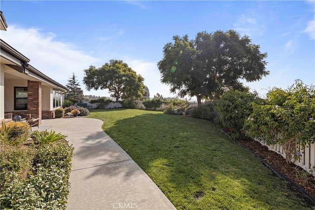 view of yard featuring a patio area