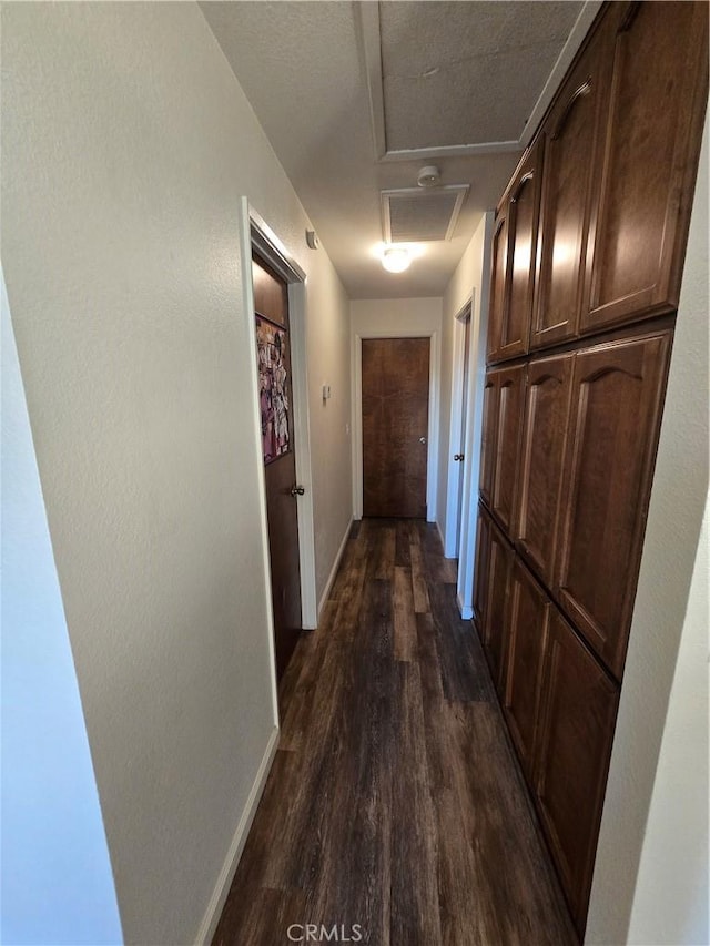 corridor featuring dark wood-type flooring