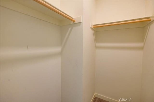 view of walk in closet