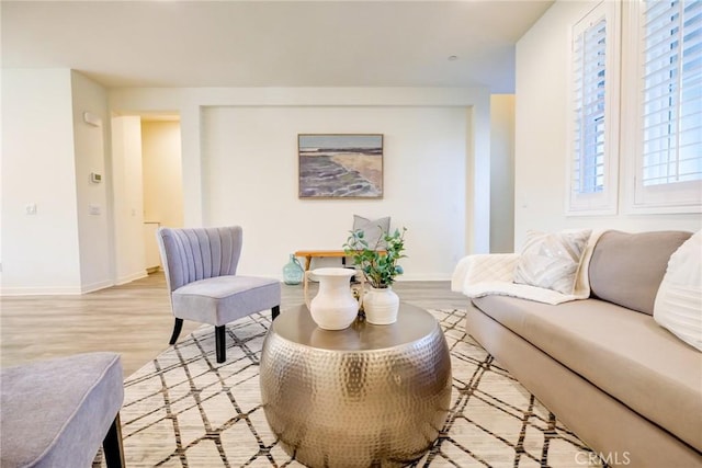 living room featuring light hardwood / wood-style floors