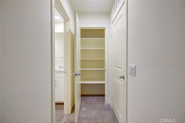 hallway featuring light carpet