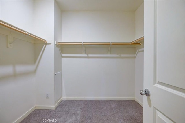 spacious closet featuring carpet flooring