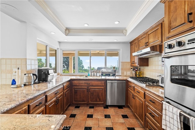 kitchen featuring a raised ceiling, sink, crown molding, appliances with stainless steel finishes, and tasteful backsplash