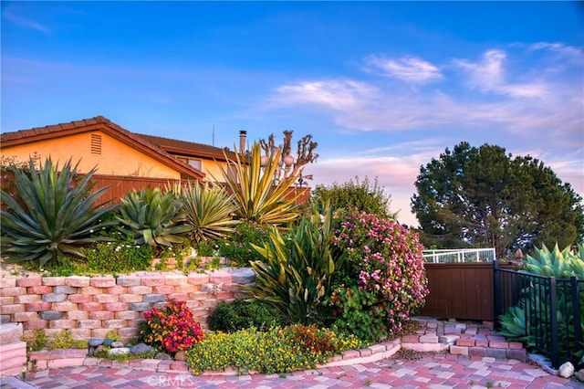 view of yard at dusk