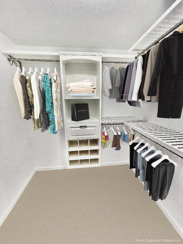 spacious closet featuring carpet flooring