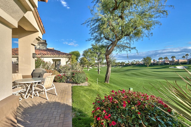 view of yard featuring a patio area