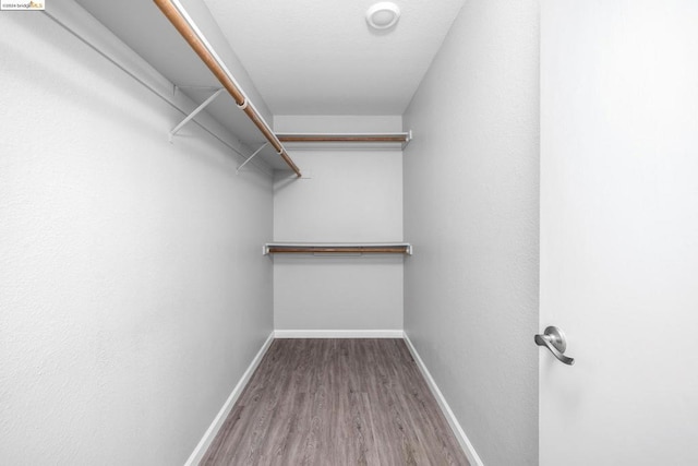 walk in closet featuring hardwood / wood-style flooring