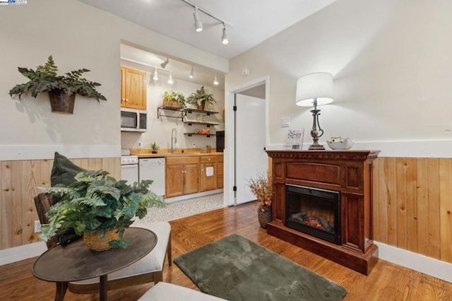 sitting room with wooden walls, light hardwood / wood-style flooring, track lighting, and sink