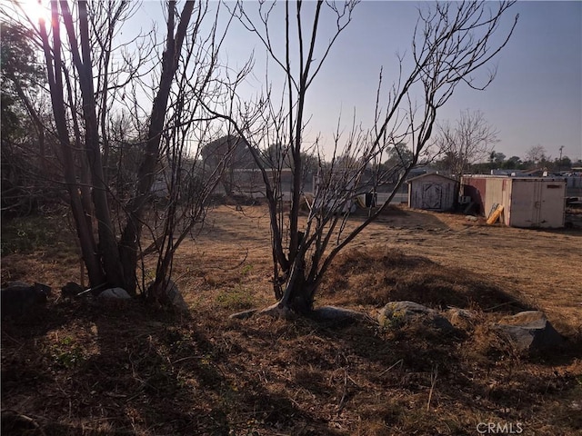 view of yard at dusk