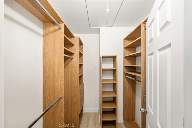 walk in closet with light wood-type flooring