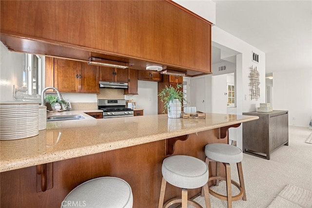 kitchen featuring light stone counters, kitchen peninsula, sink, and stainless steel range with gas stovetop