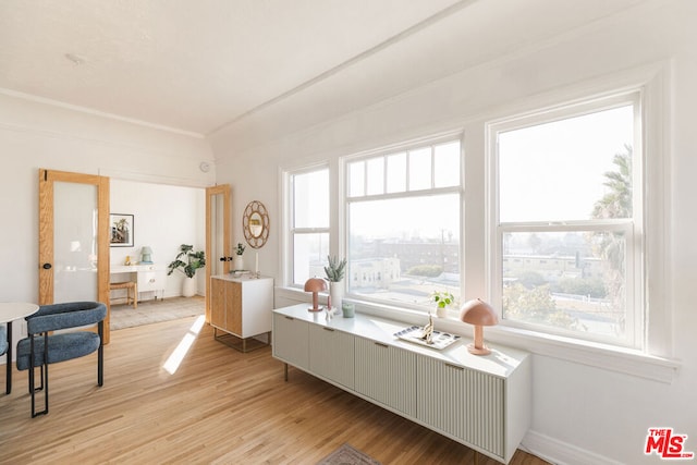 sitting room featuring light hardwood / wood-style flooring and plenty of natural light