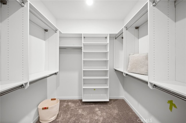 spacious closet with dark carpet