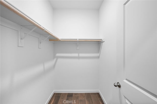 walk in closet with dark hardwood / wood-style flooring