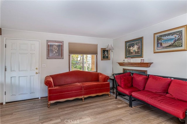 living room featuring a fireplace and light hardwood / wood-style flooring