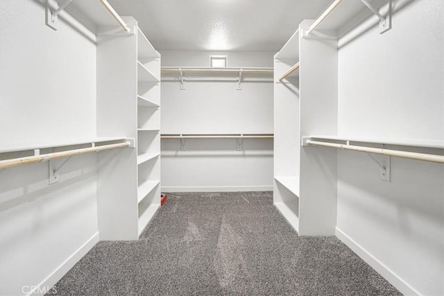 walk in closet with dark colored carpet