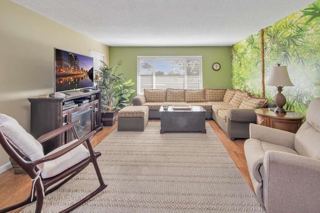 living room featuring a textured ceiling and light hardwood / wood-style flooring