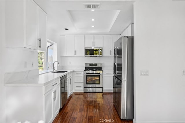 kitchen featuring sink, stainless steel appliances, dark hardwood / wood-style floors, a tray ceiling, and white cabinets