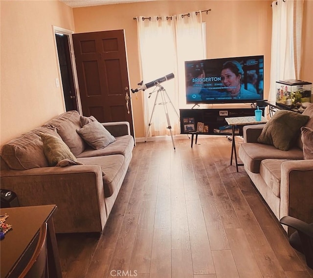 living room with hardwood / wood-style flooring