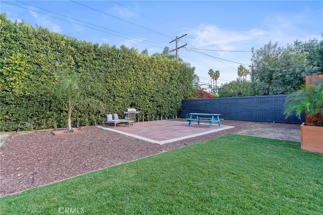 view of yard featuring a patio