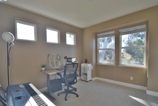 home office with light colored carpet