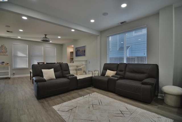 living room featuring wood-type flooring