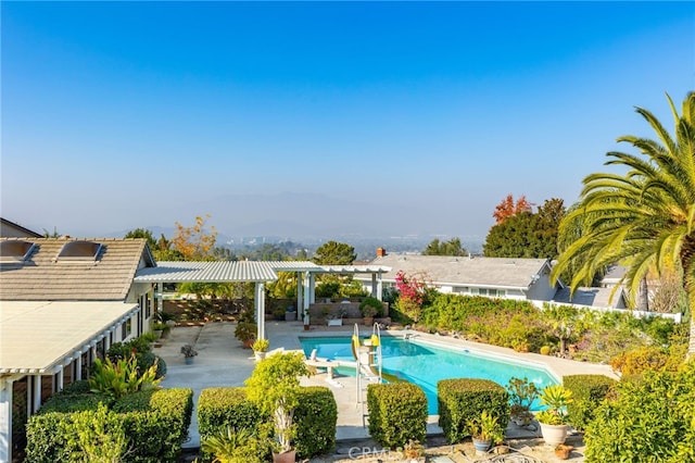 view of pool featuring a patio area and a pergola