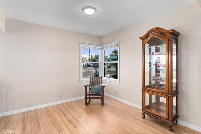 sitting room with light wood-type flooring