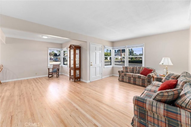 living room featuring light hardwood / wood-style floors