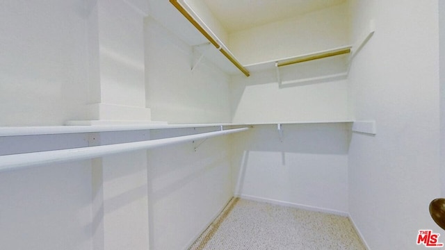 walk in closet featuring light colored carpet