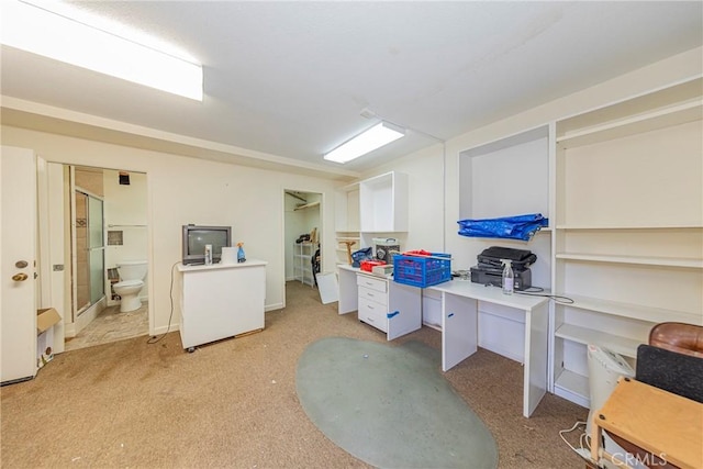 home office featuring light colored carpet